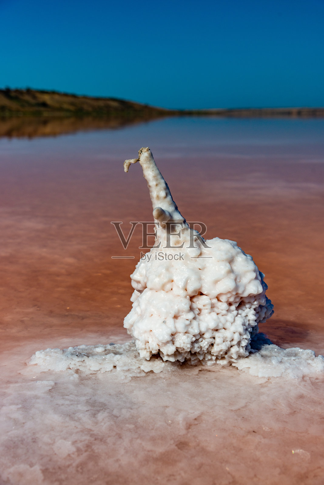 盐湖。在原木上自行沉淀的盐。干涸湖泊中的高盐水照片摄影图片