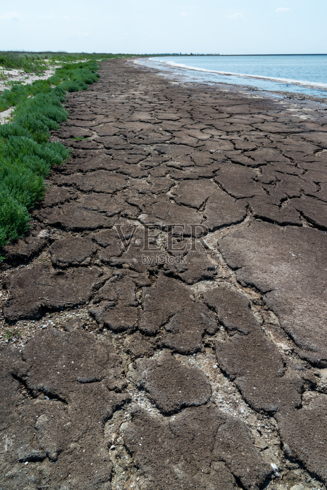 图兹拉咸水河口沙滩上的干大型植物藻类照片摄影图片