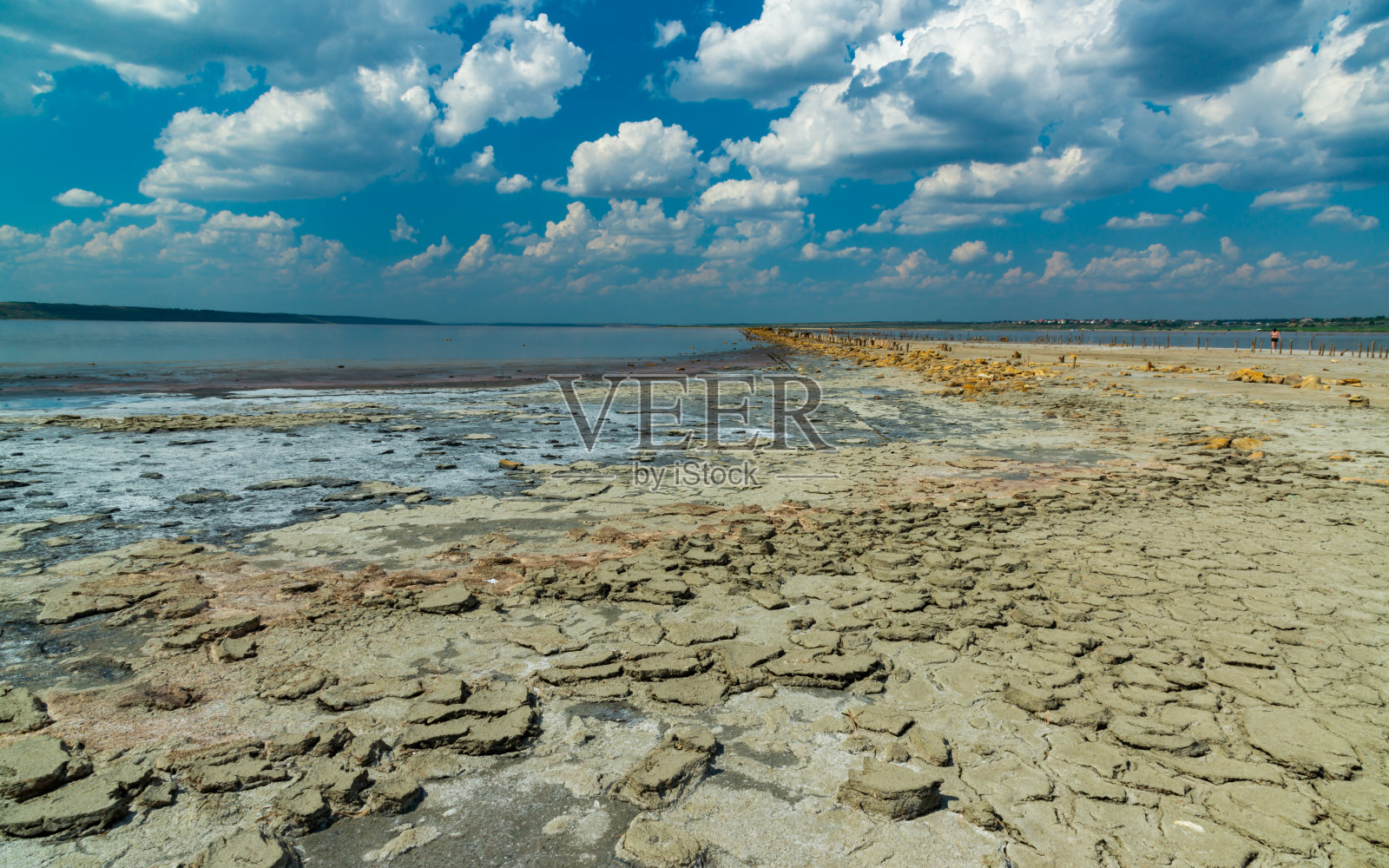 在敖德萨地区Kuyalnitsky河口，晒干的甲壳类动物尸体在破碎的治疗泥浆上照片摄影图片