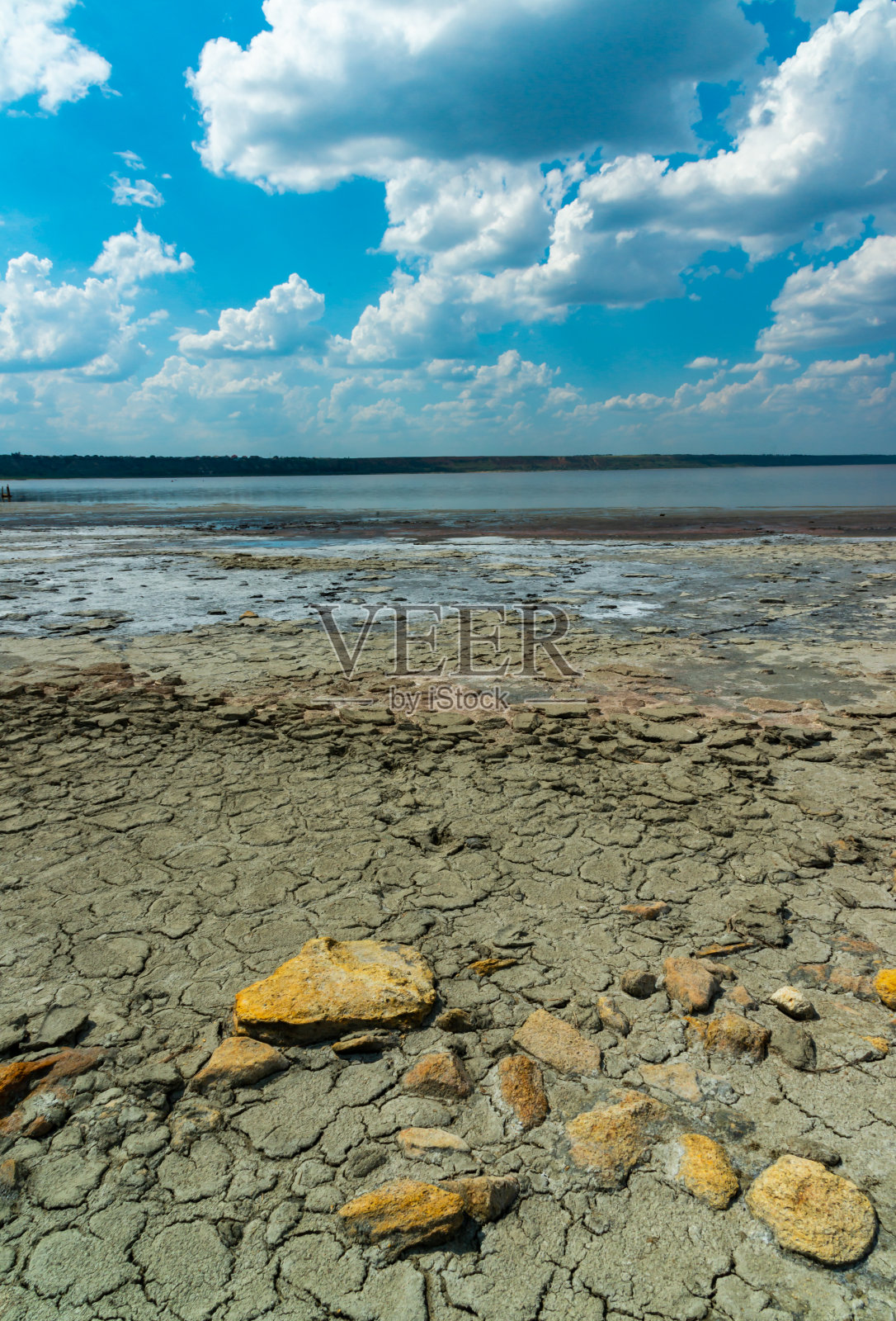 在敖德萨地区Kuyalnitsky河口，晒干的甲壳类动物尸体在破碎的治疗泥浆上照片摄影图片