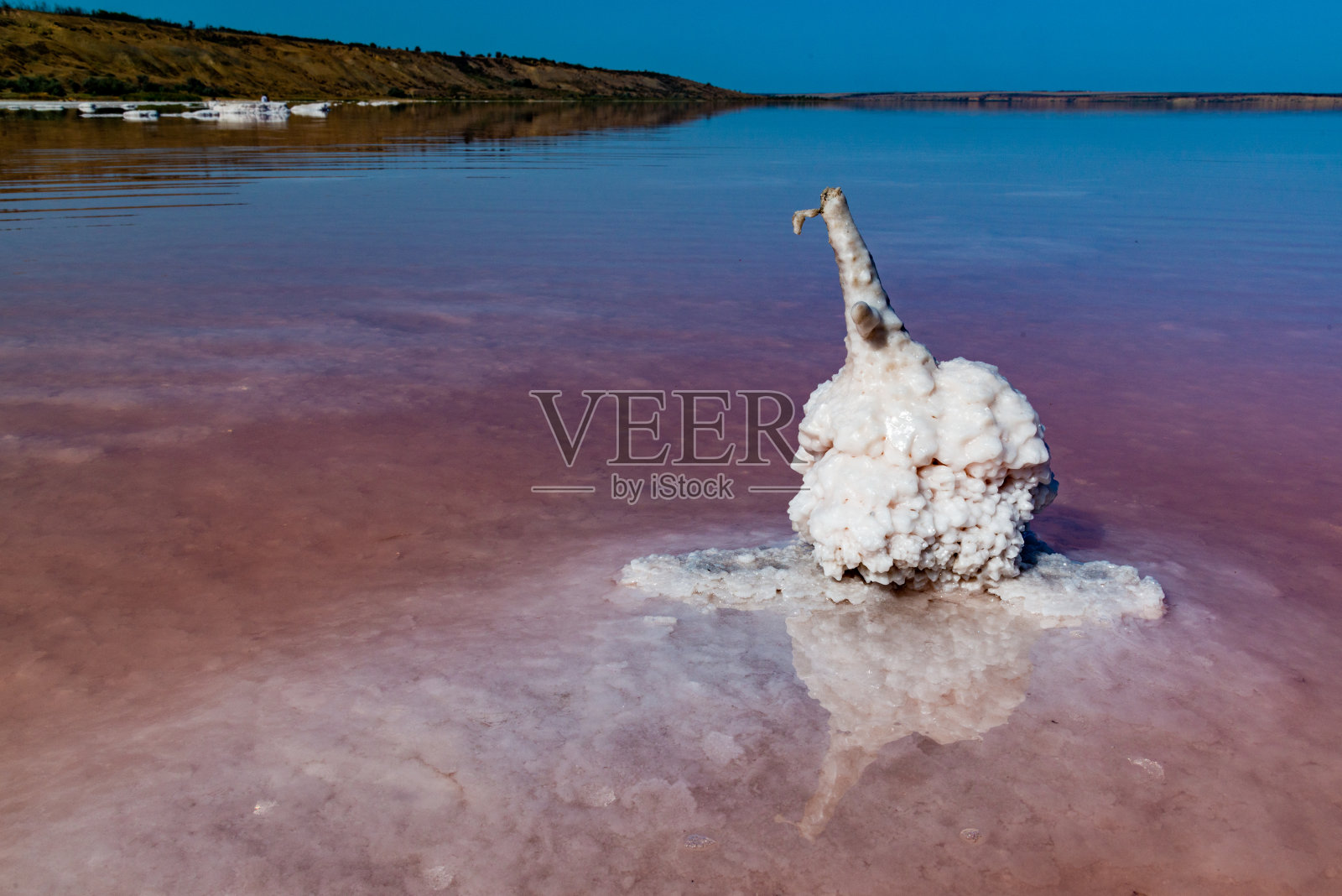 盐湖。在原木上自行沉淀的盐。干涸湖泊中的高盐水照片摄影图片