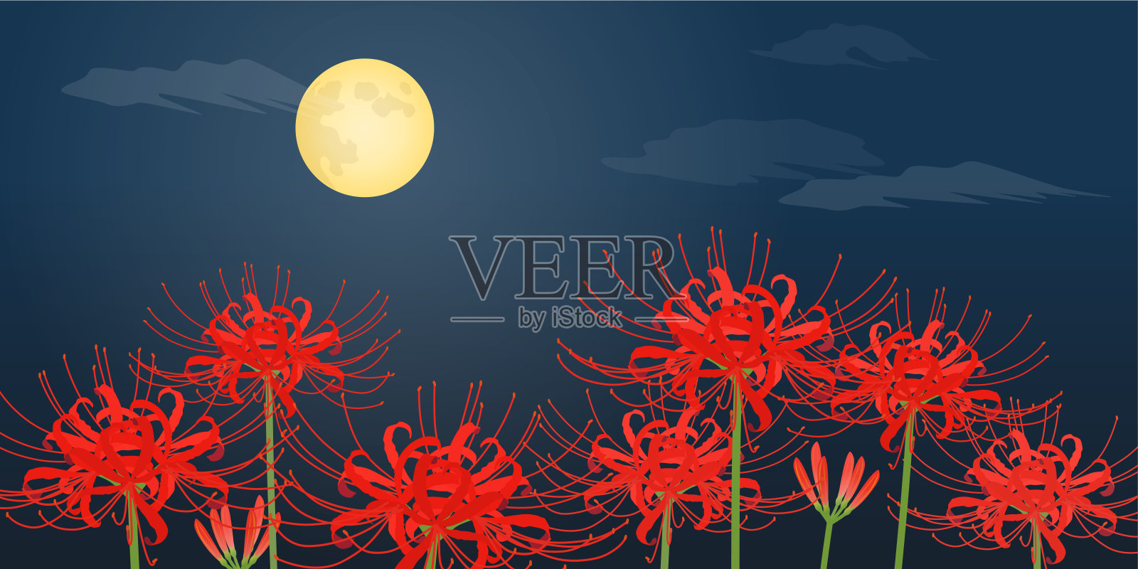 红蜘蛛百合与满月——背景(2:1)插画图片素材