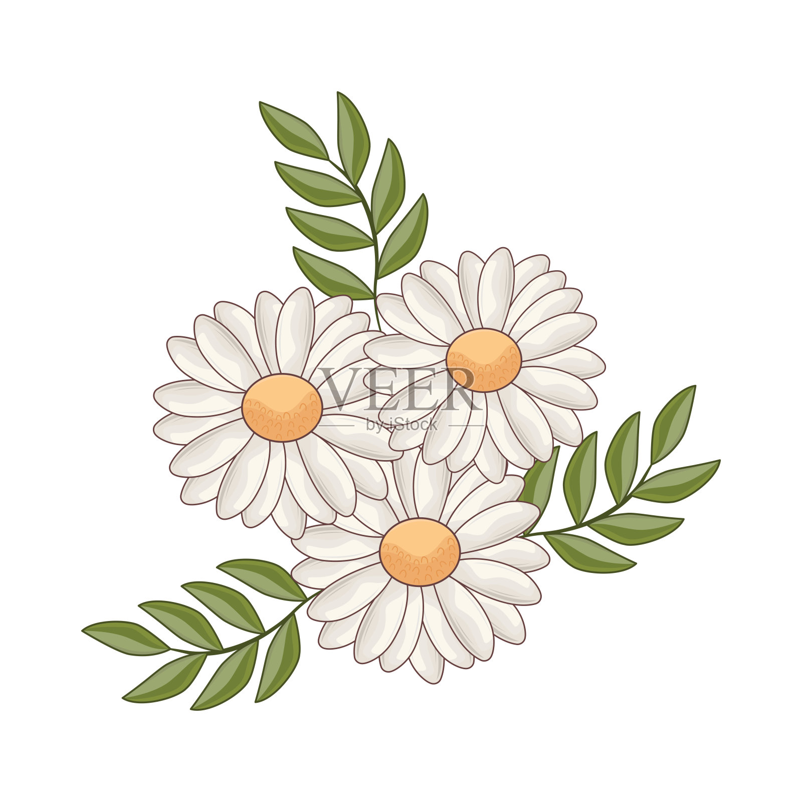 花插画图片素材