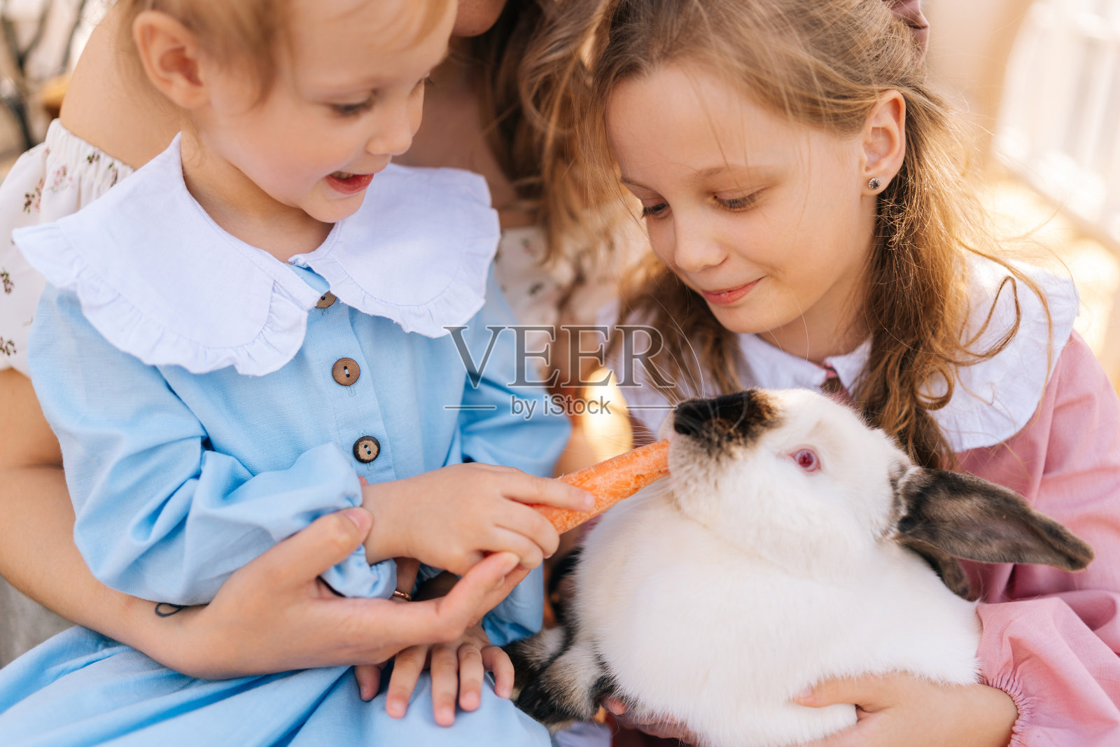 在阳光明媚的夏日凉亭里，不知名的妈妈和两个可爱的女儿抱着小白兔的特写镜头。照片摄影图片