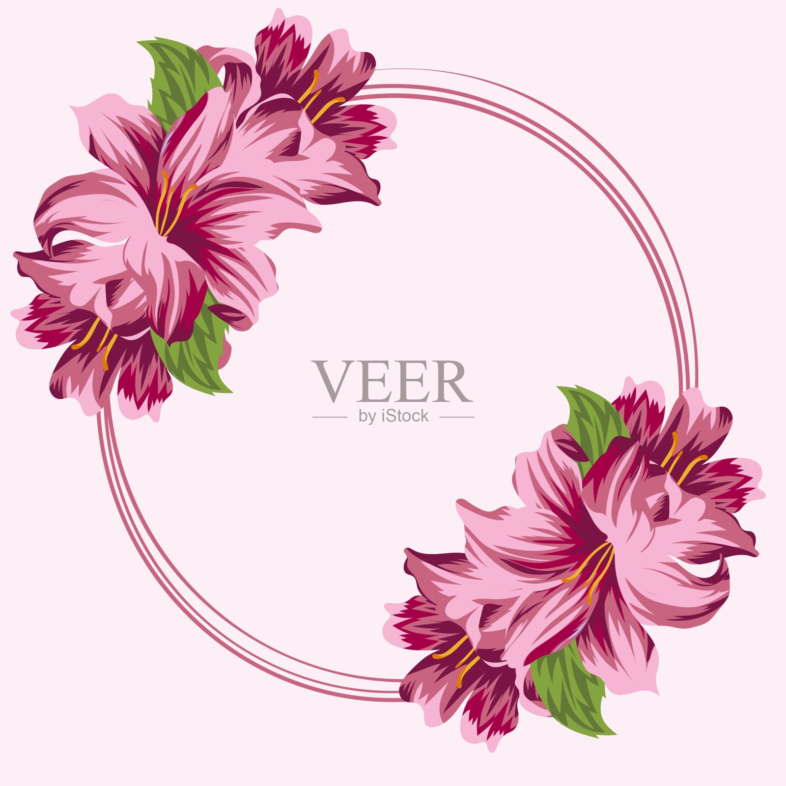 圆框百合插画图片素材