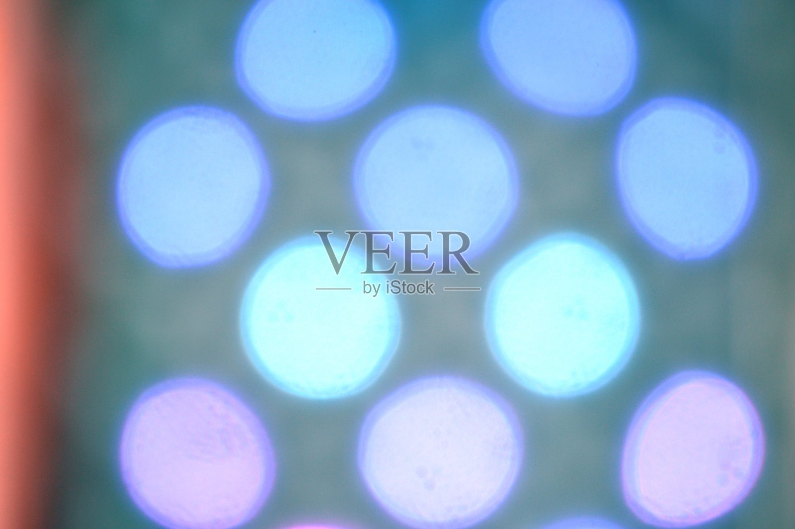 光圆照片摄影图片