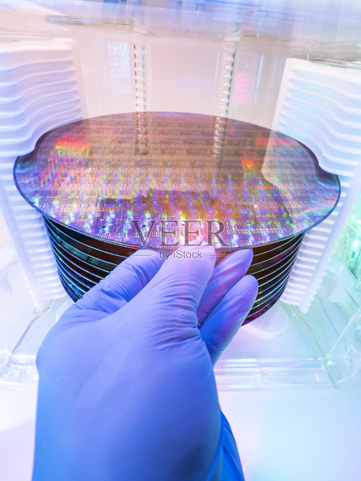 戴着手套的手拿着塑料盒子里的硅片，用于制造电子集成电路照片摄影图片