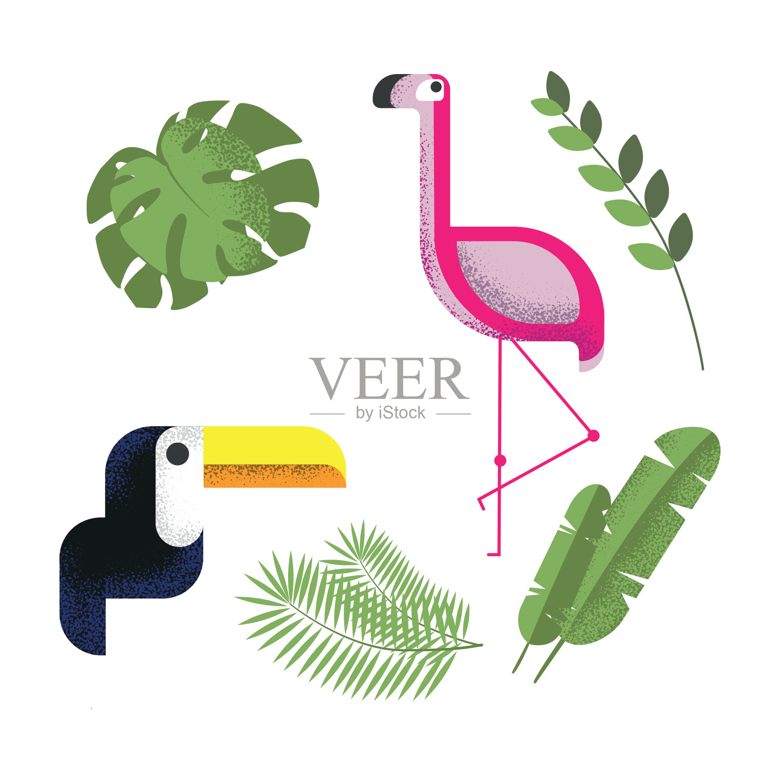 孤立的有趣的火烈鸟和巨嘴鸟。插图印刷，纹理和噪点效果。异国植物和鸟类的设计。怪物叶、棕榈叶和香蕉叶。儿童元素t恤，封面，壁纸插画图片素材