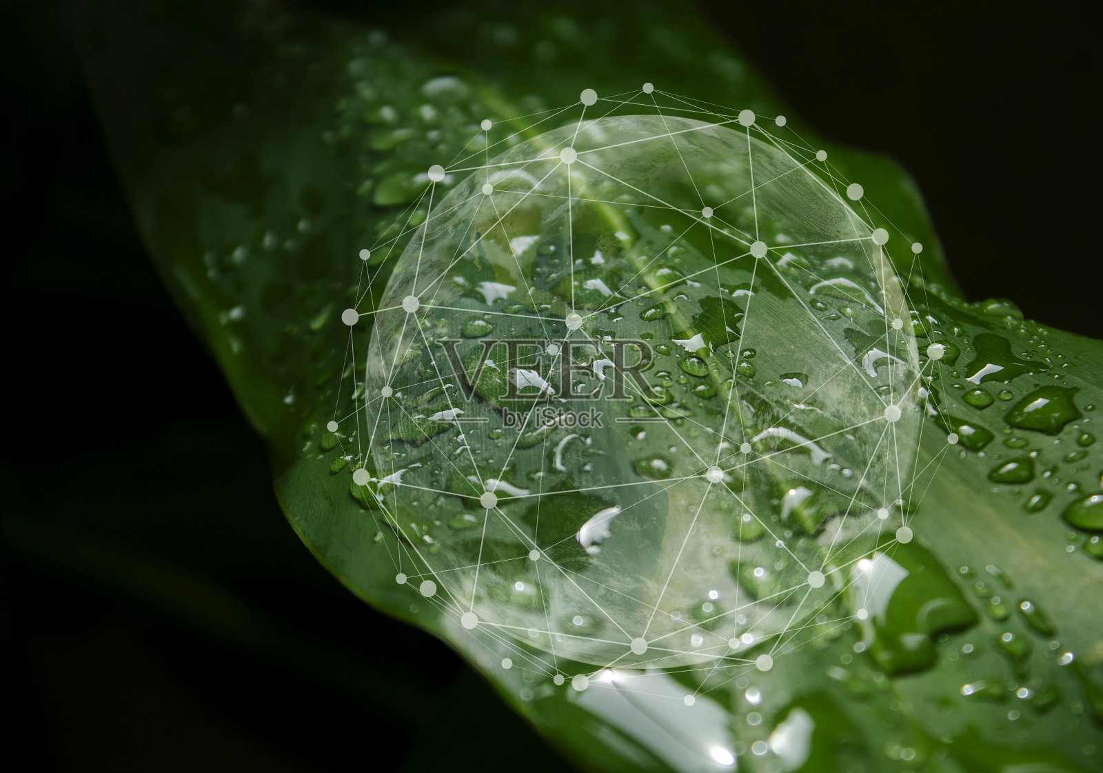 保护生态，保护自然，可持续发展照片摄影图片
