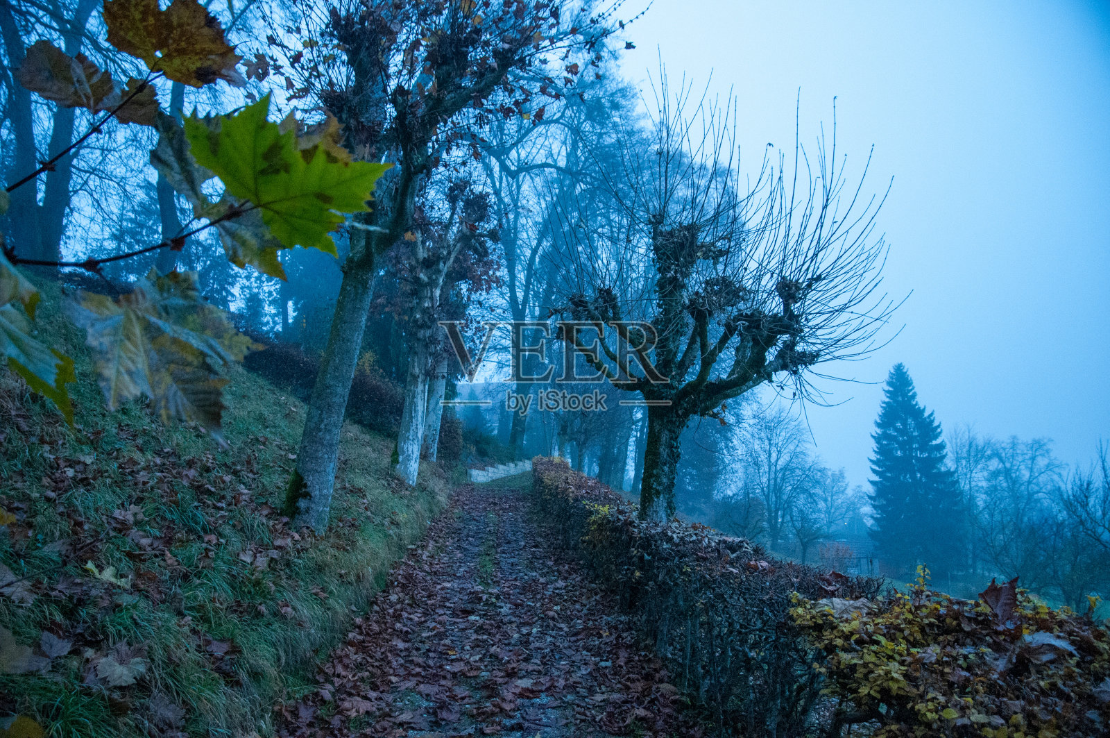 Chemin照片摄影图片