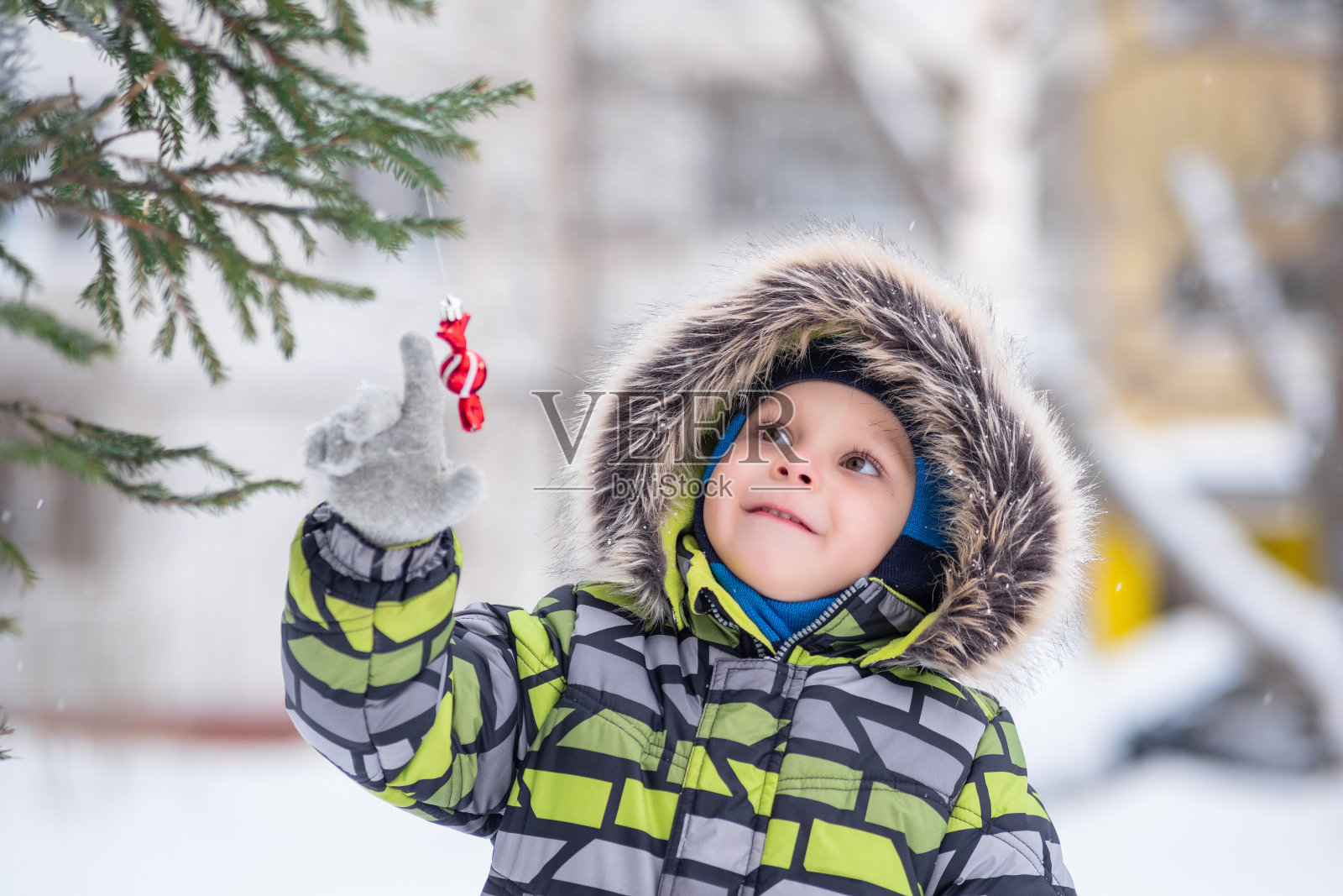 在一个下雪的冬天，一个孩子在街上检查院子里的圣诞树照片摄影图片