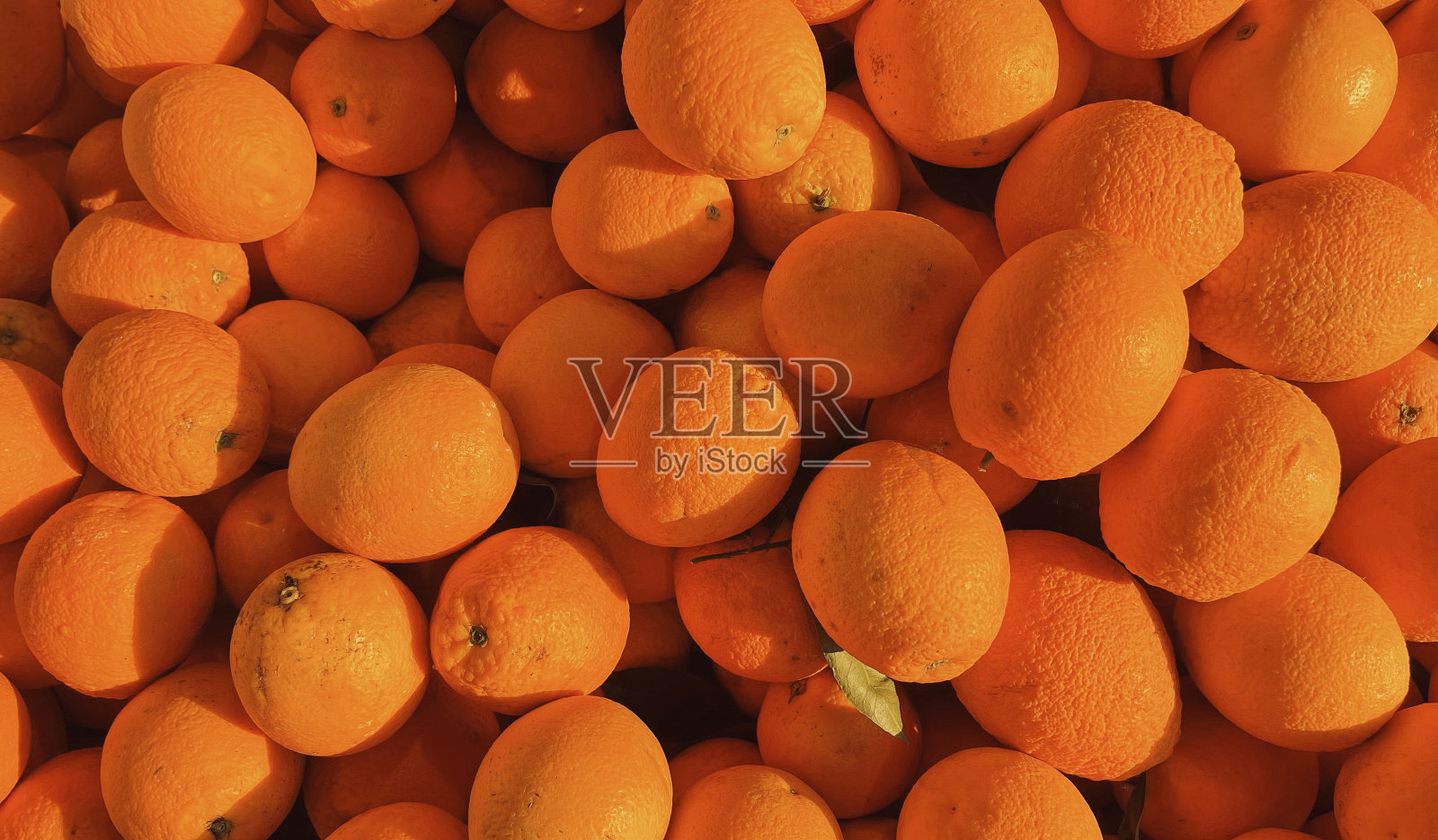 阳光下的成熟橙子背景照片摄影图片