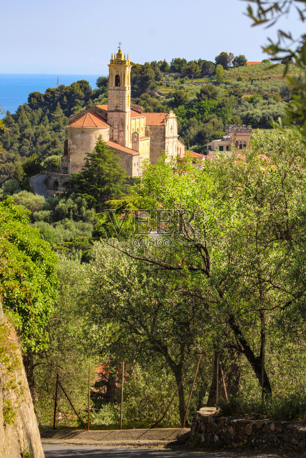 卡斯泰拉罗沿街的橄榄园照片摄影图片