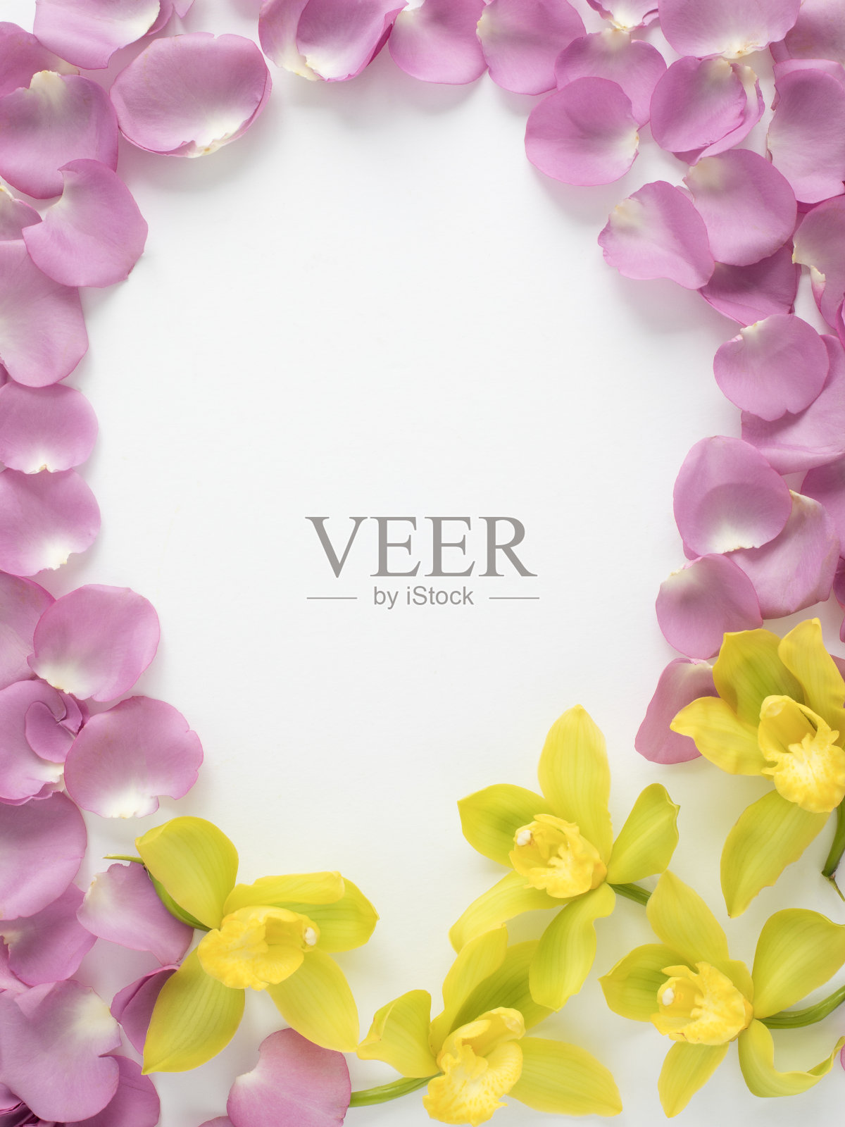 玫瑰花瓣和兰花相框照片摄影图片