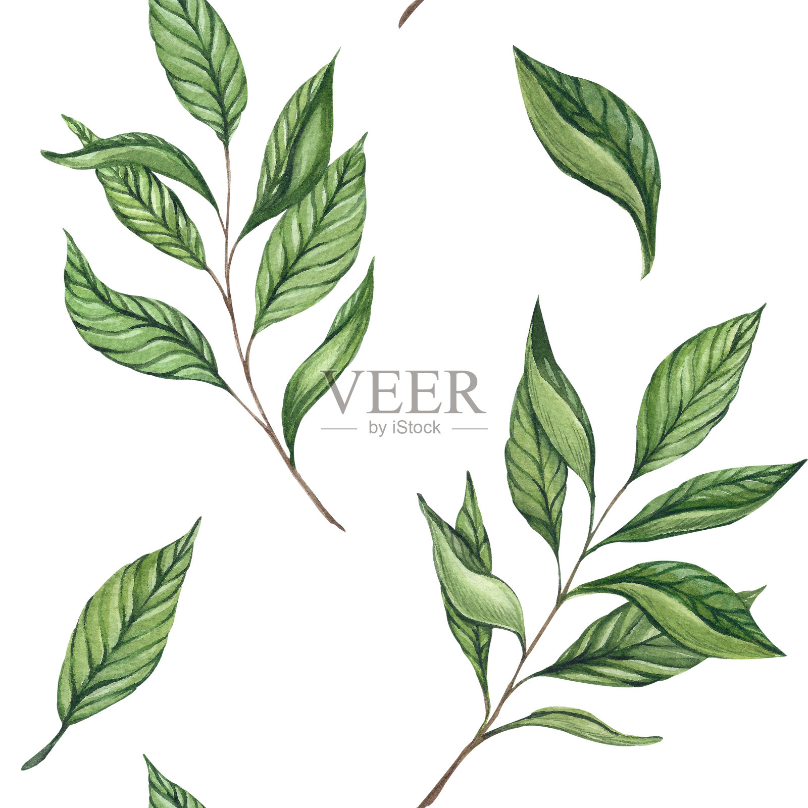 茶枝图案插画图片素材