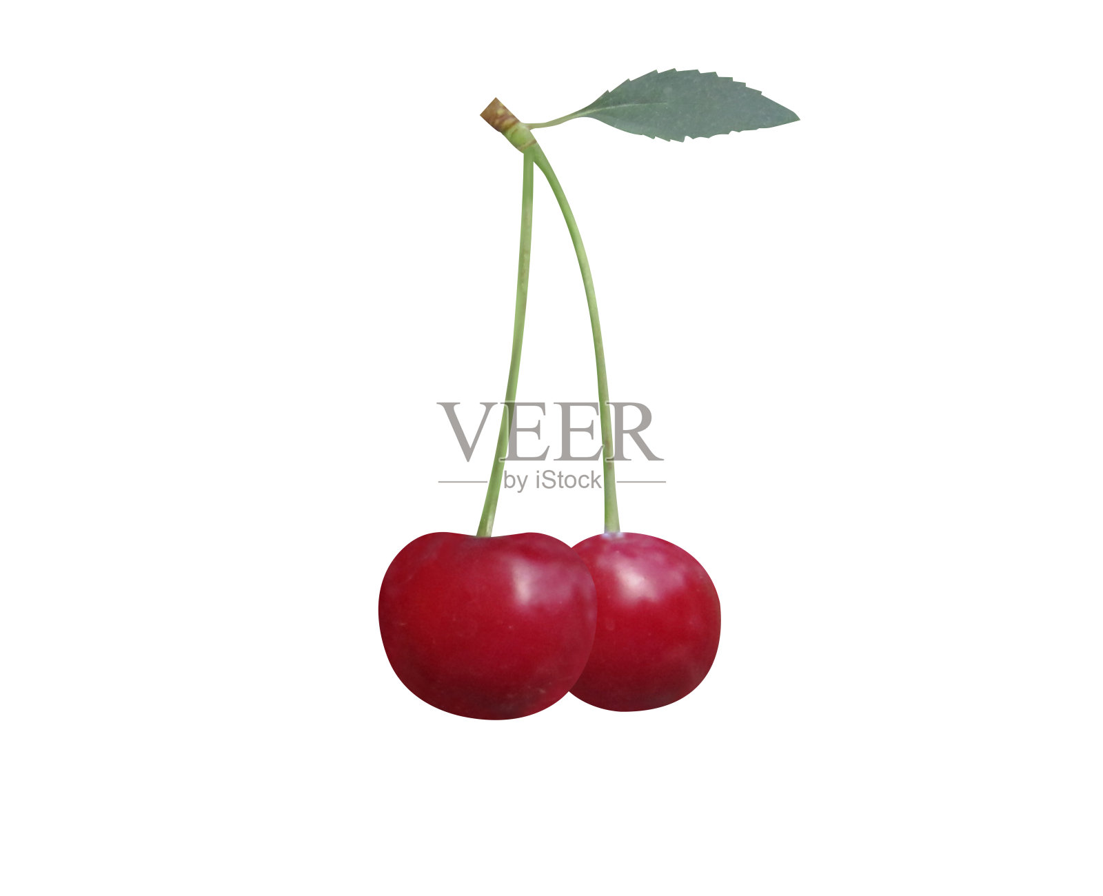 樱桃或酸樱桃照片摄影图片