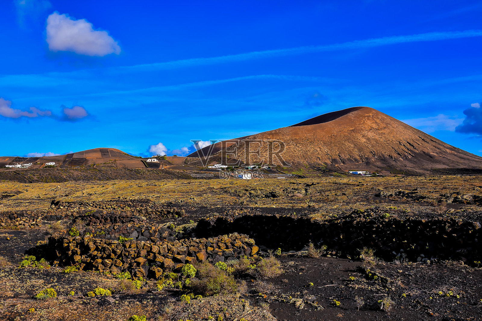 兰萨罗特岛的葡萄园照片摄影图片