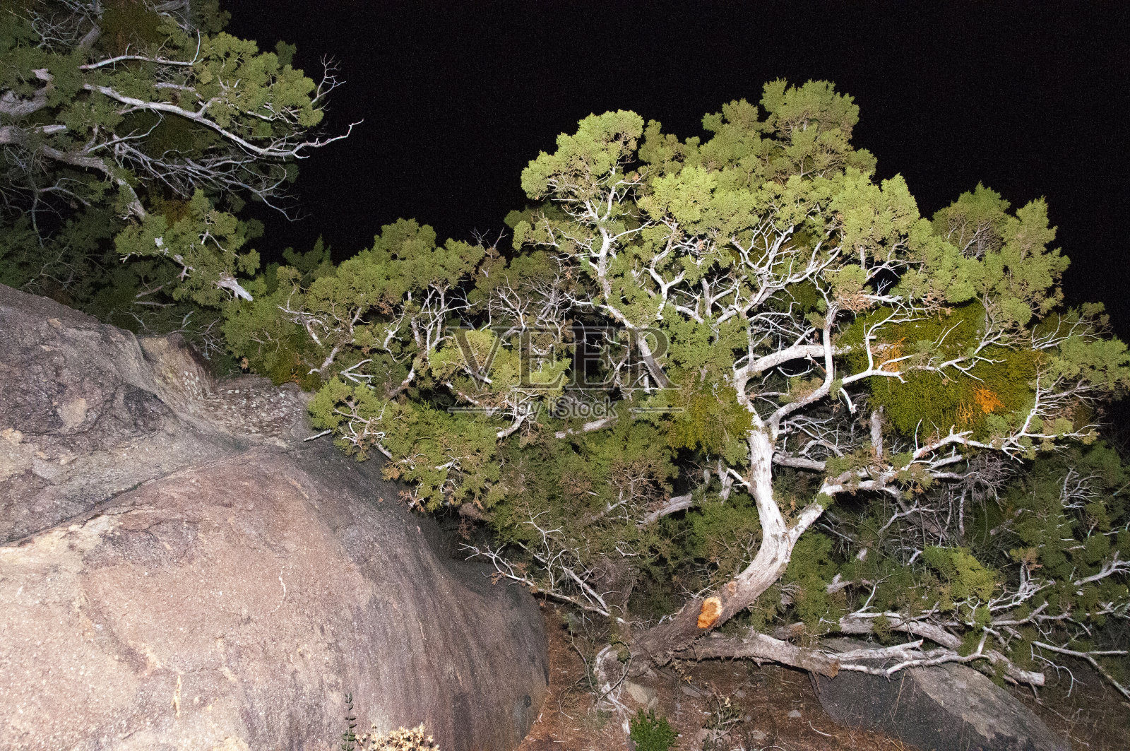 大本德国家公园照片摄影图片