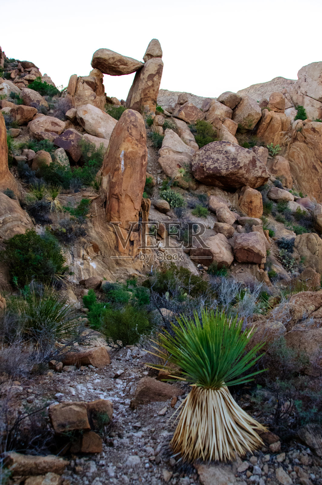 平衡的岩石在葡萄藤山脉，大弯曲国家公园，德克萨斯州照片摄影图片