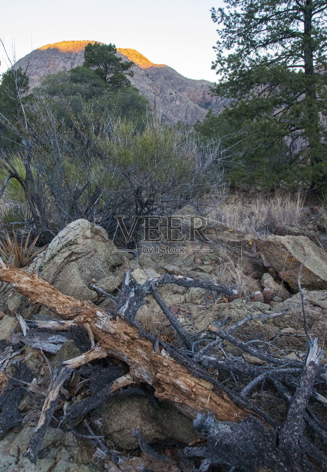 大本德国家公园照片摄影图片