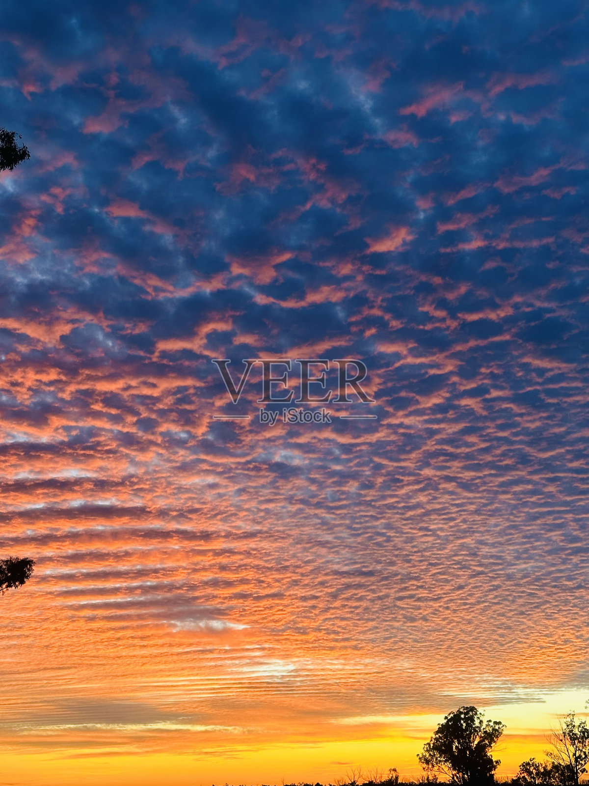 云照片摄影图片