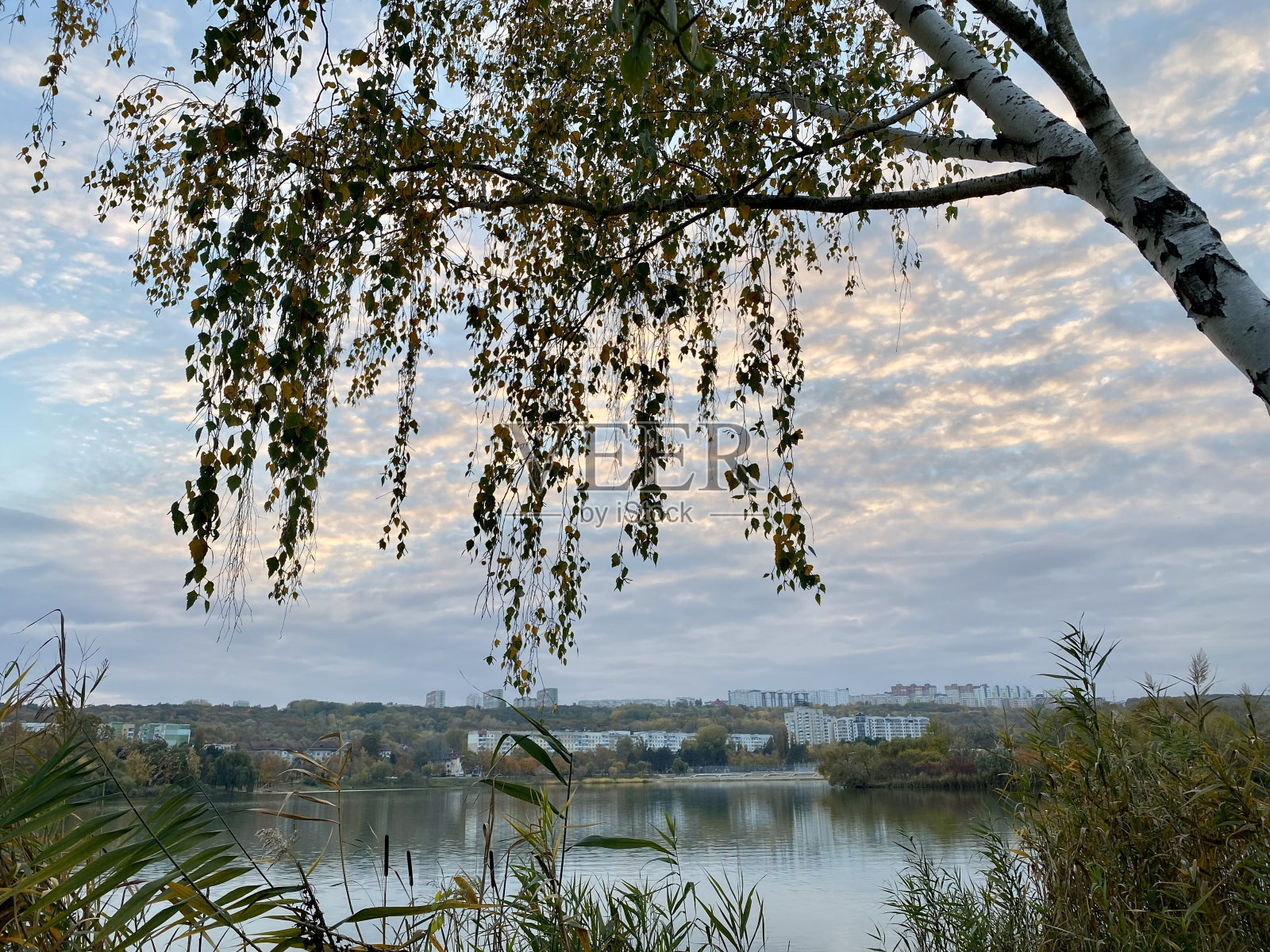 秋天森林里的湖照片摄影图片