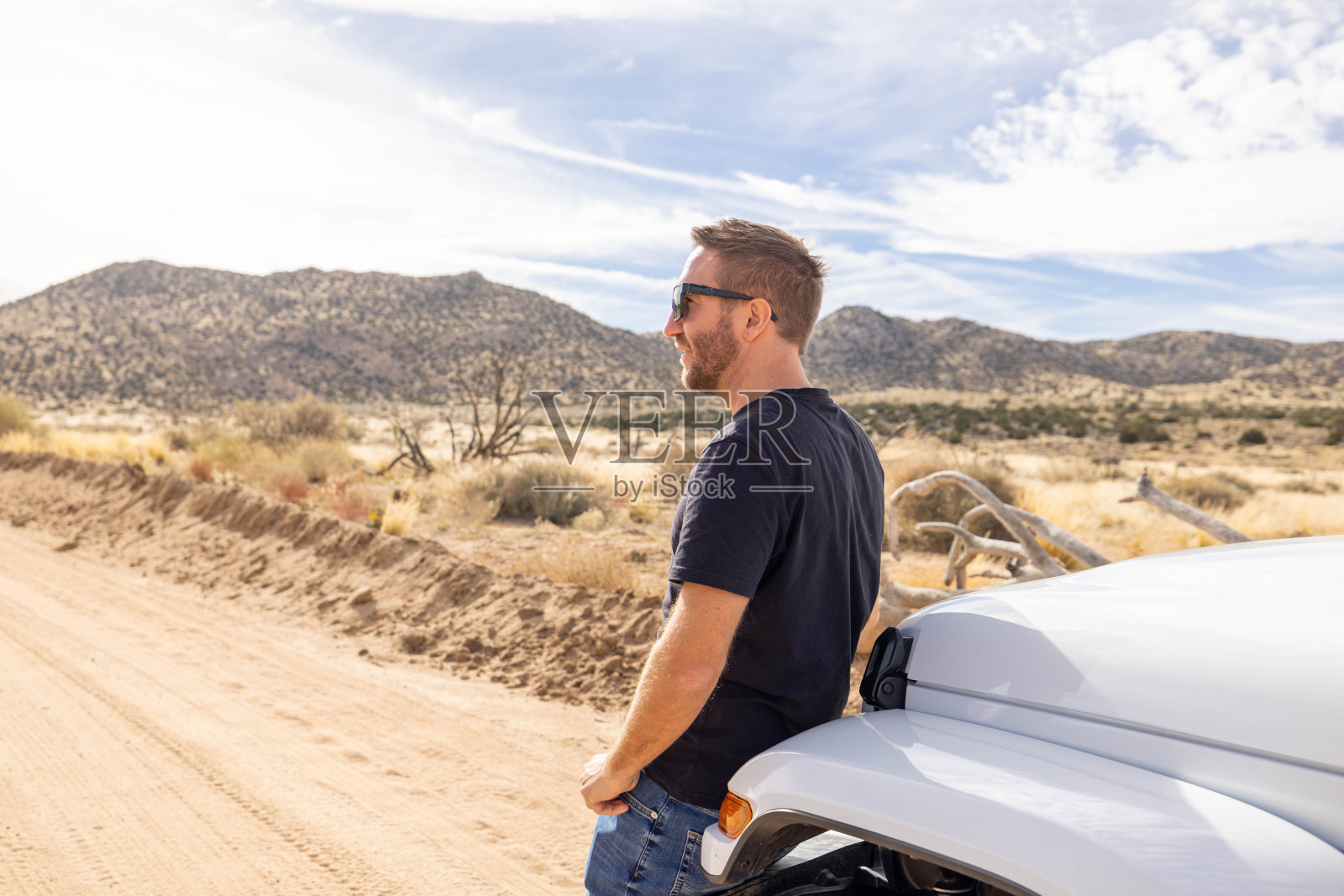 宁静的远景:一个人从他的汽车引擎盖上凝视着野性的自然照片摄影图片