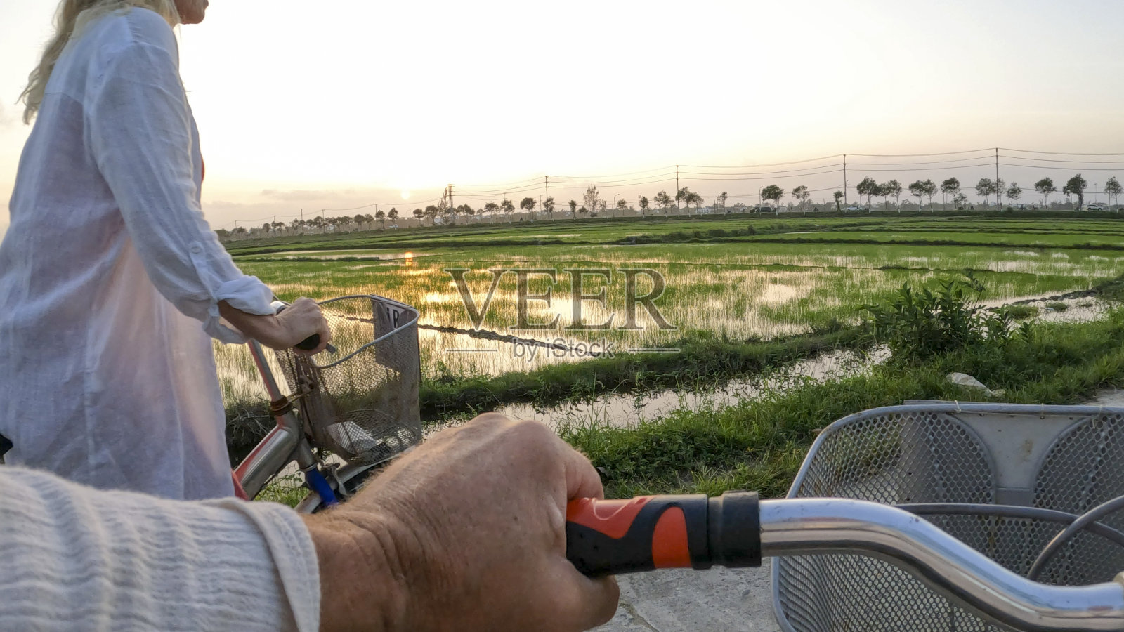 夫妇骑自行车穿过稻田的个人视角照片摄影图片