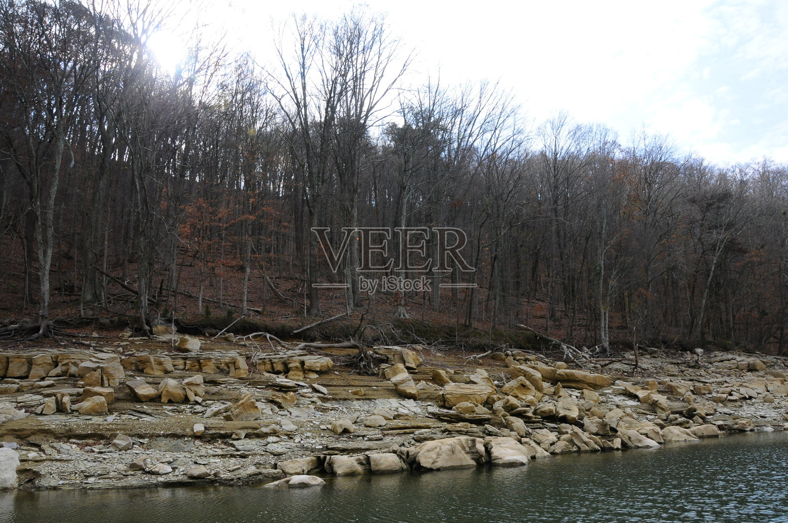 美国田纳西州的森林湖岸，湖岸上有层状的石头照片摄影图片