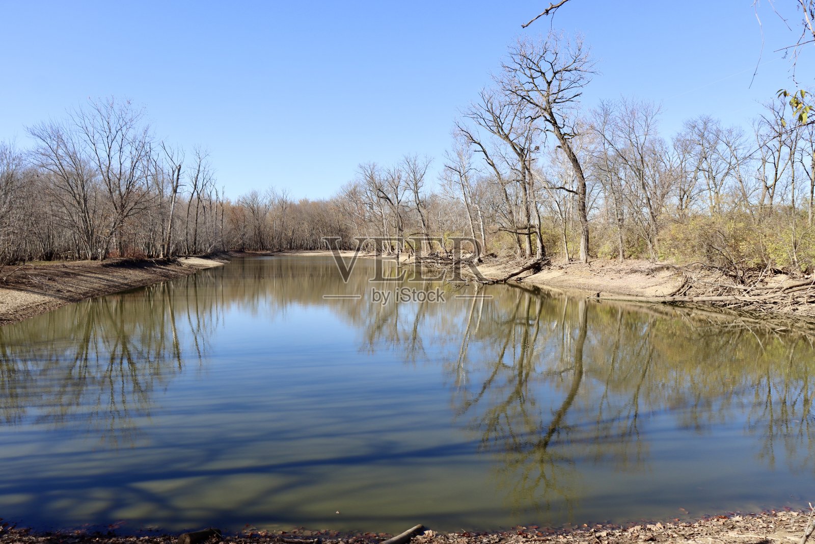 平静的池塘照片摄影图片