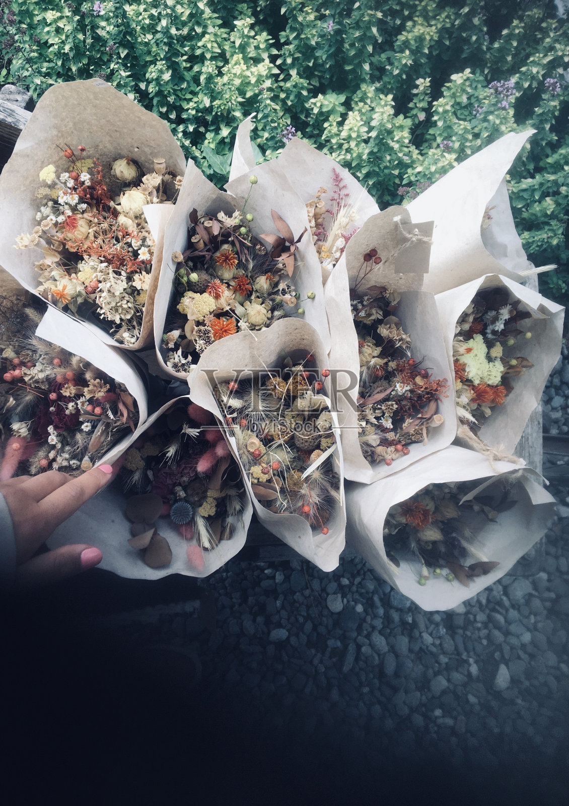 花与手照片摄影图片