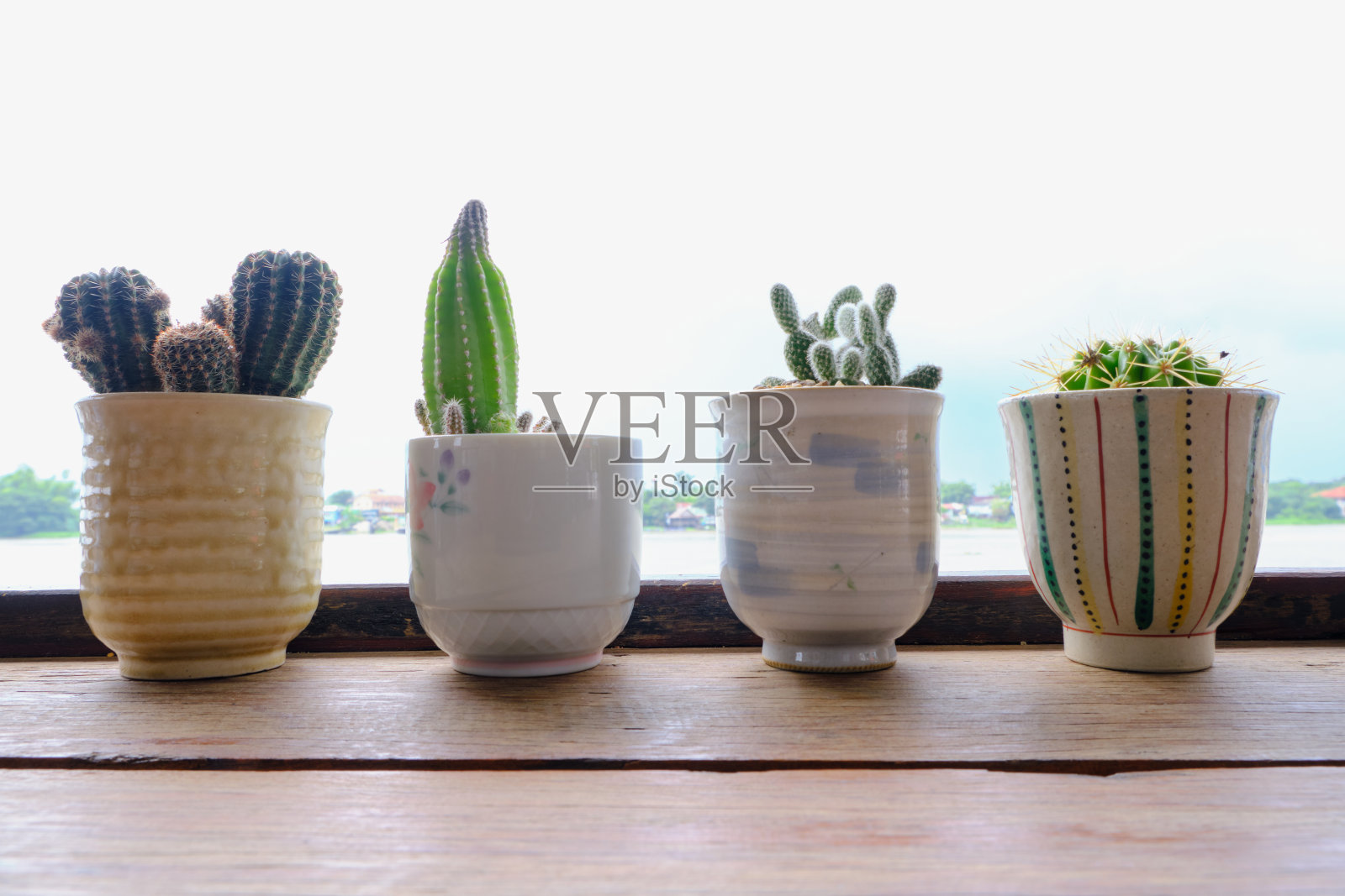 木桌上的仙人掌植物照片摄影图片