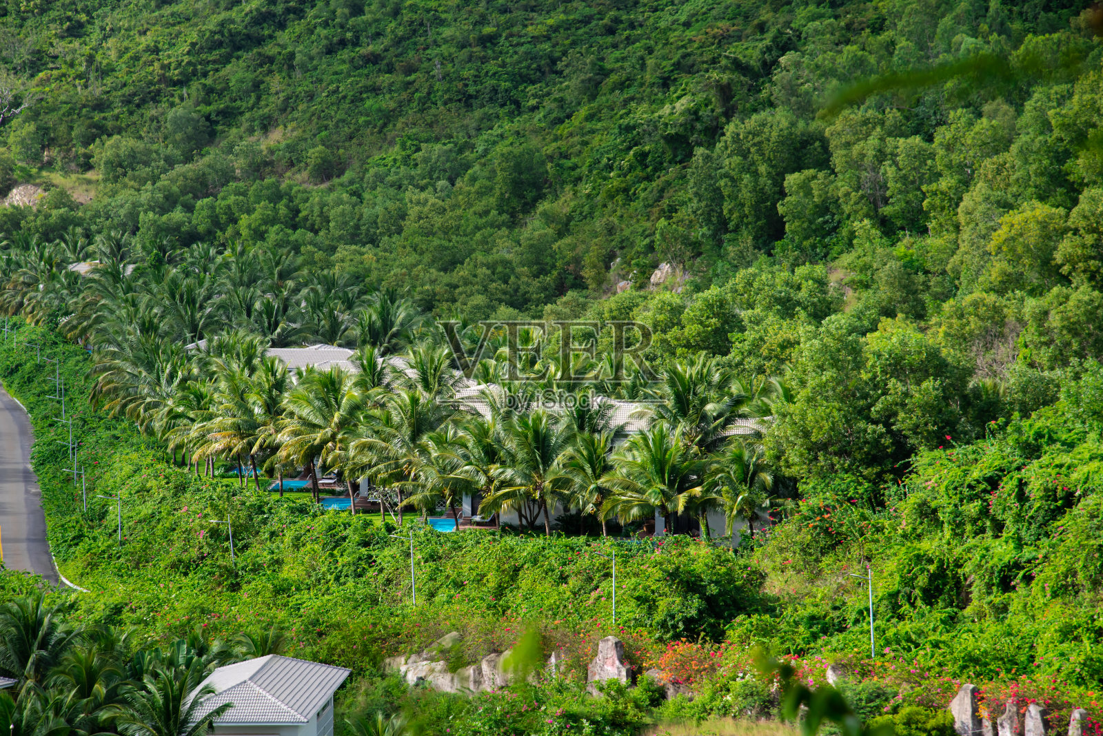 郁郁葱葱的绿色椰子树环绕着一排带游泳池的豪华热带别墅，以山脉为背景，是越南芽庄高档度假胜地，旅游目的地照片摄影图片