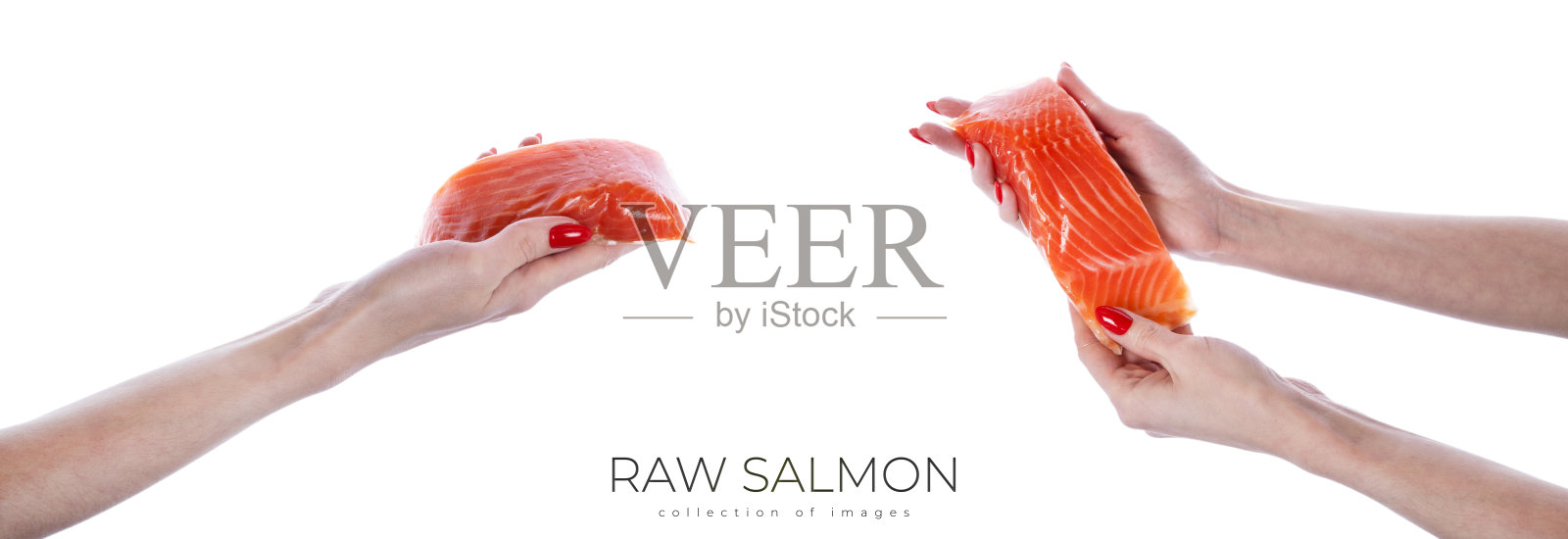 女人手里拿着一块生鲑鱼片，孤立在白色背景上。照片摄影图片
