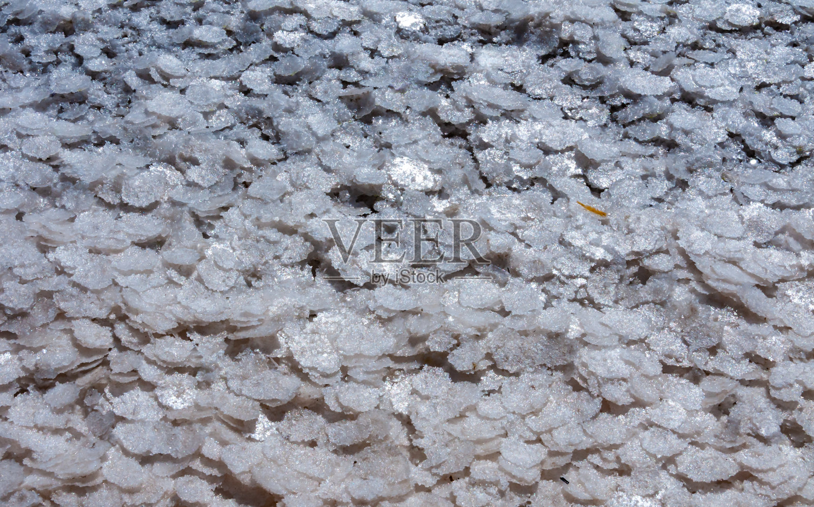 库亚尔尼茨基河口上游泥泞的底部结晶的盐。库亚尔尼克河口，乌克兰照片摄影图片