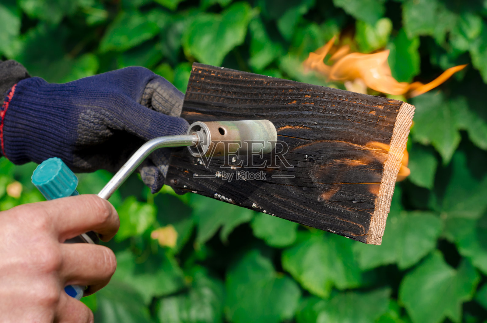 DIY过程。用煤气燃烧器处理木材照片摄影图片