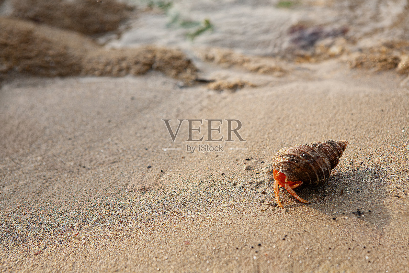 海滩照片摄影图片