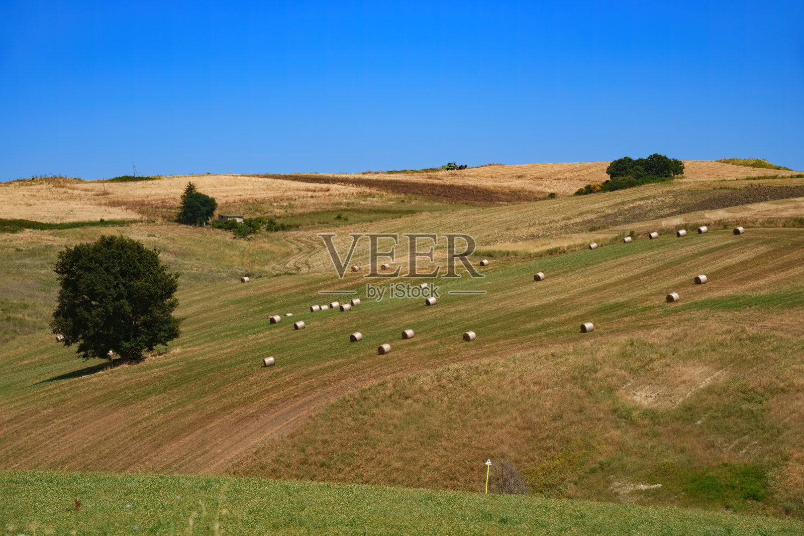 特里卡里科和圣基里科附近的乡村景观，巴西利卡塔，意大利照片摄影图片