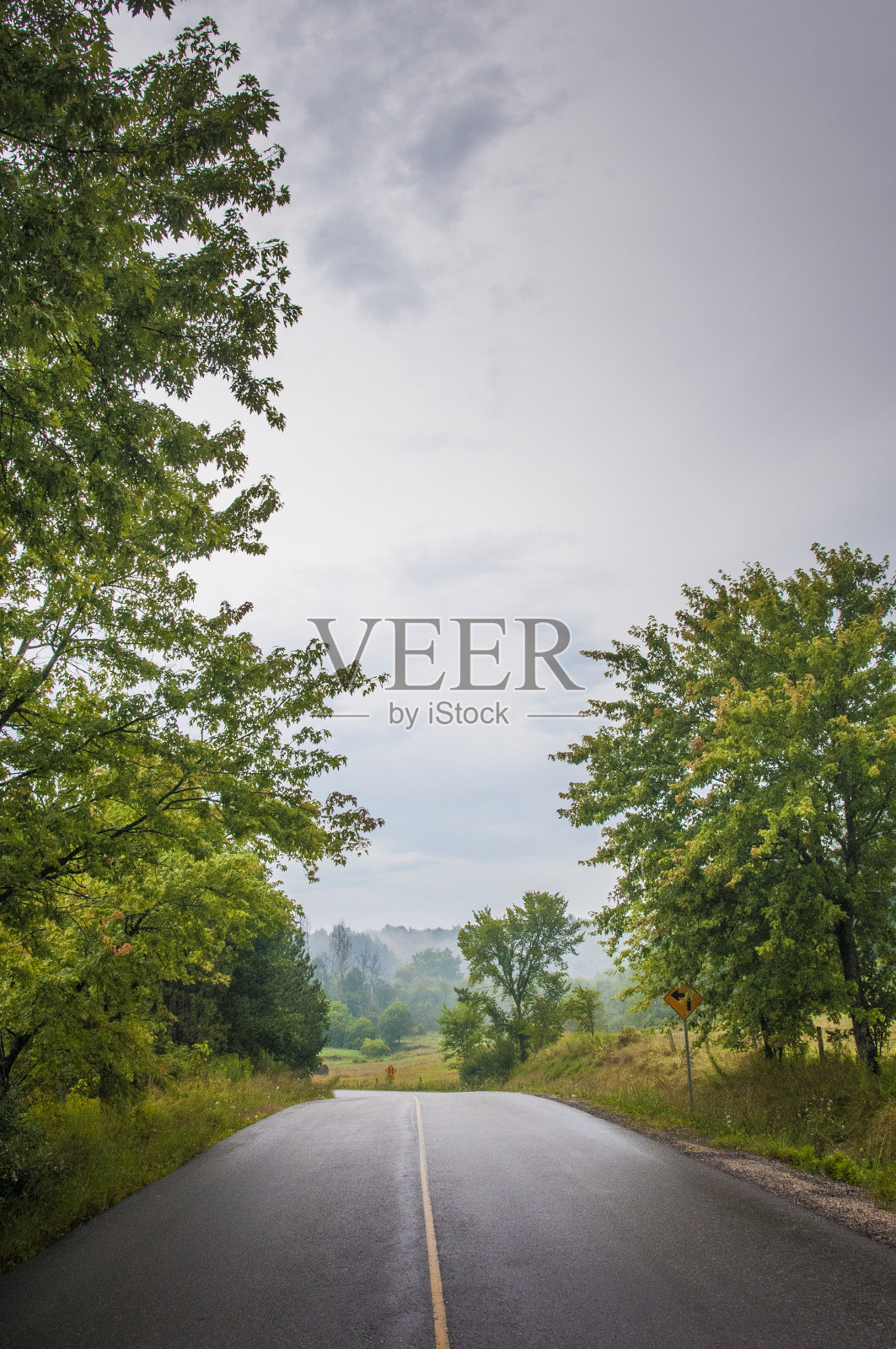 绿树环绕的乡村道路。加拿大南安大略照片摄影图片