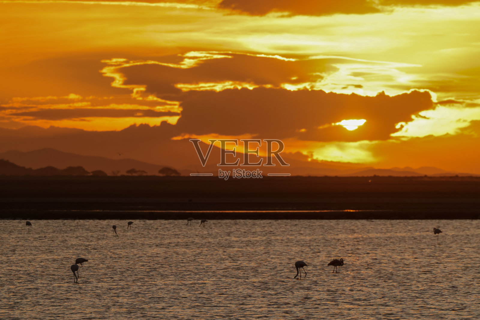 安博塞利湖的日落心情照片摄影图片