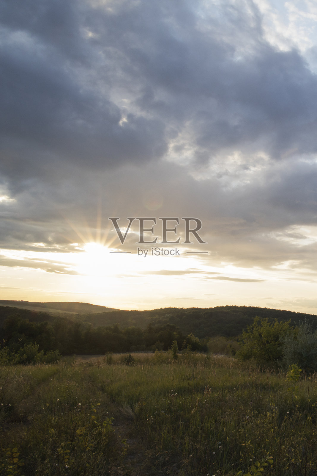 蓝天碧云，绿树成荫。平原景观背景夏季海报照片摄影图片