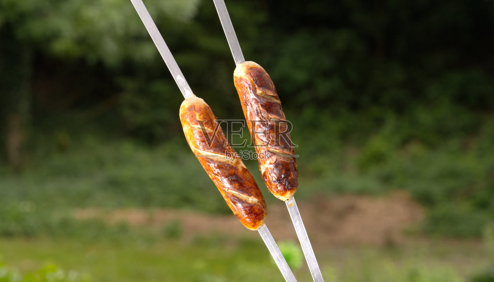 两根串在烤肉串上的香肠，背景是森林。照片摄影图片