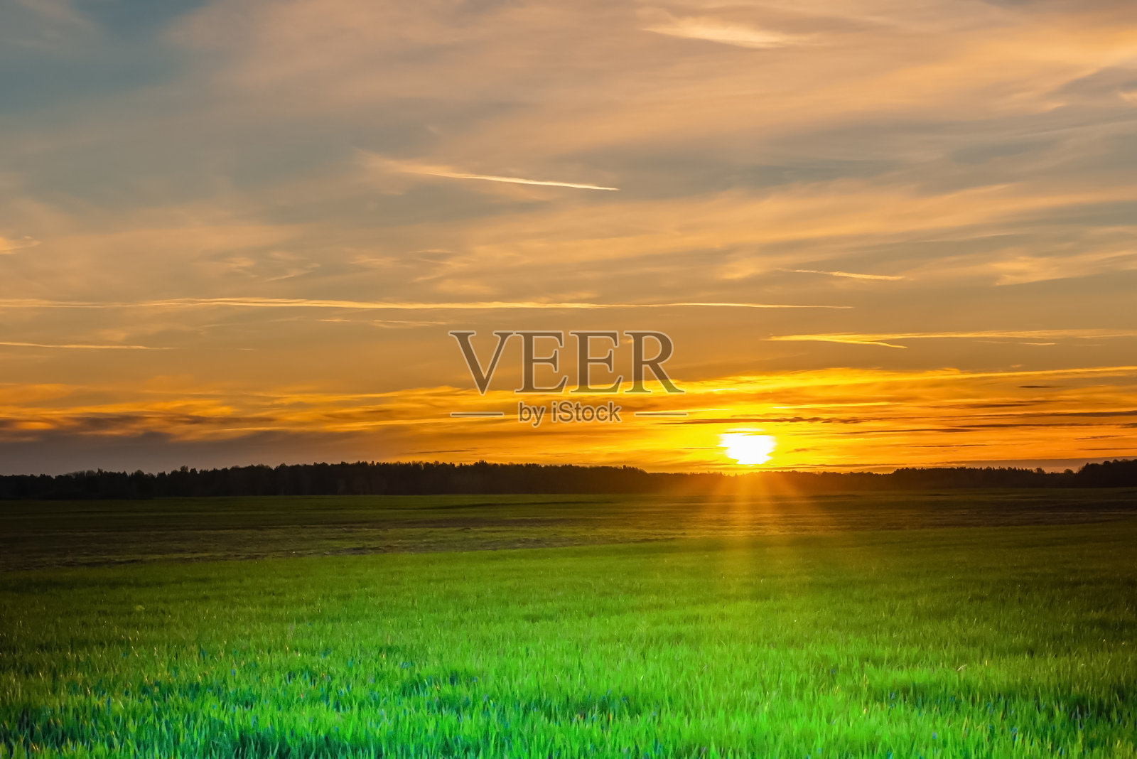 美丽的风景日落自然乡村背景。夕阳下的草地，漆黑的夜晚。照片摄影图片