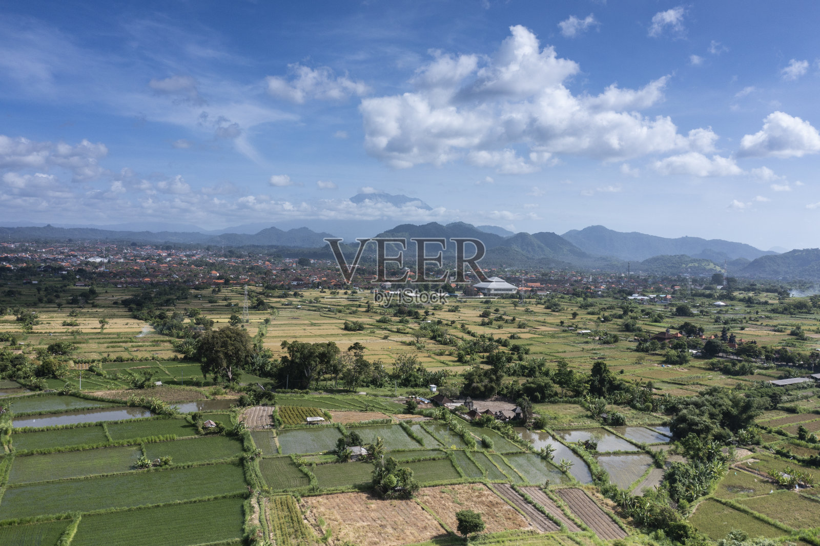 印度尼西亚巴厘岛Karangasem的稻田照片摄影图片