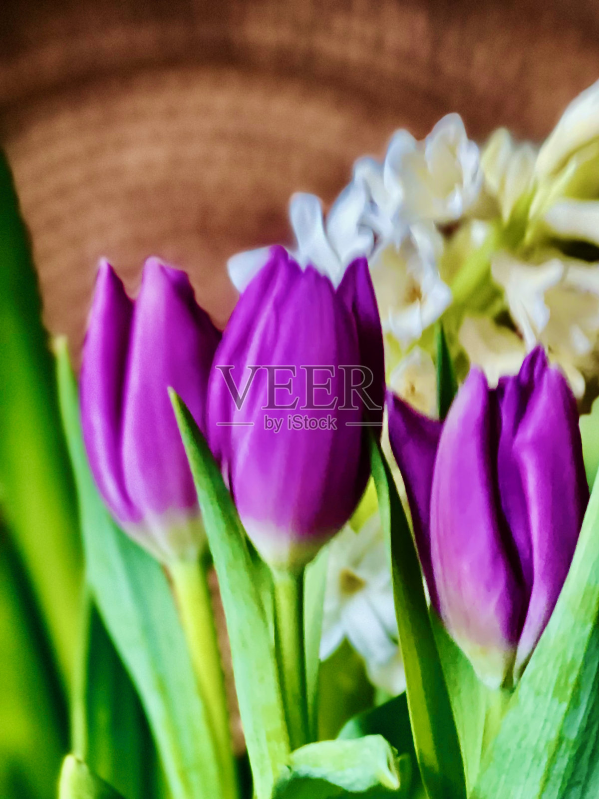 春花背景照片摄影图片