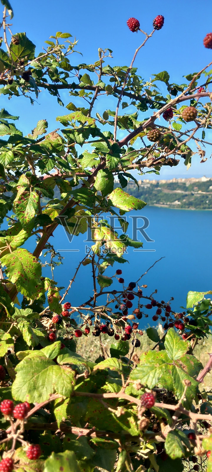 湖照片摄影图片