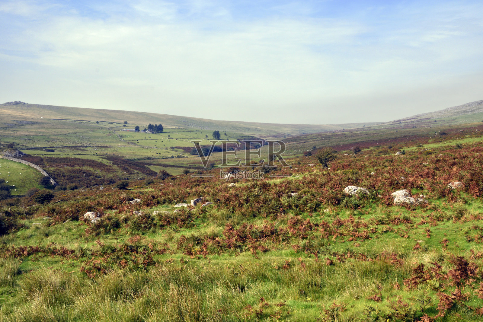 达特穆尔照片摄影图片
