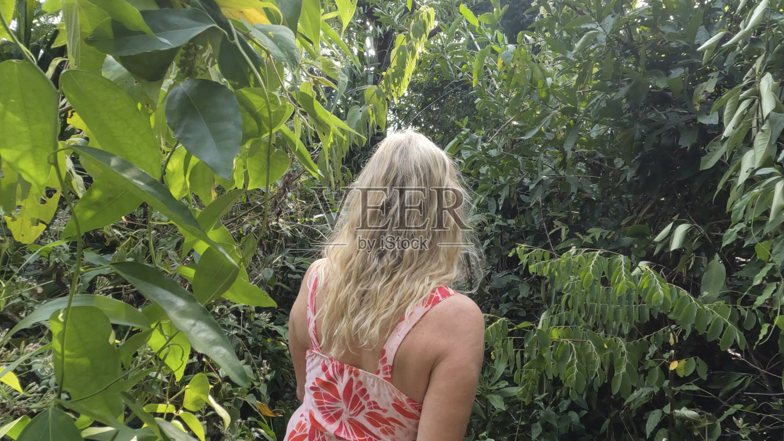 成熟的女人穿过丛林照片摄影图片