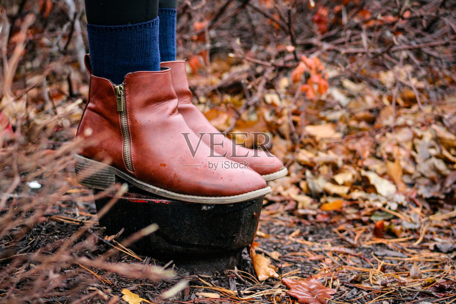 秋天的鞋子照片摄影图片