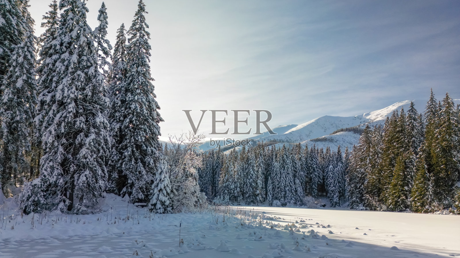 在斯洛伐克的低塔特拉斯，冬天平静的森林和冰雪湖泊景观照片摄影图片